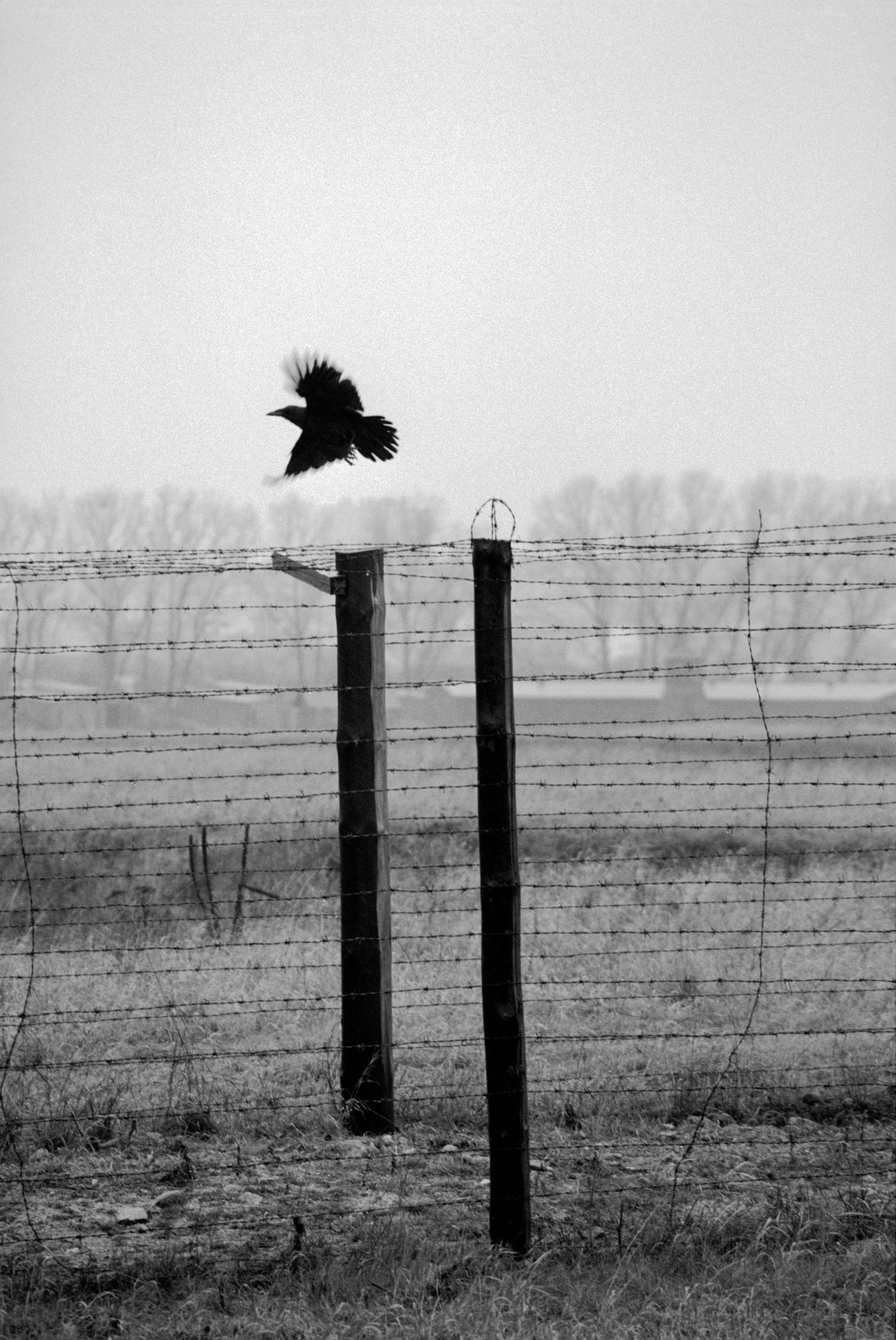 Would I Have Survived? - Arts \u0026 Letters - Tablet Magazine, image size:3463x5177