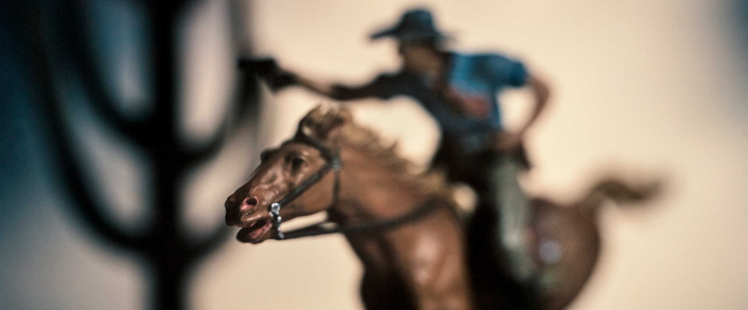 Christian Ladies Horse Animal Sex - Photographer David Levinthal: Nice Boy Shares Toy - Tablet Magazine