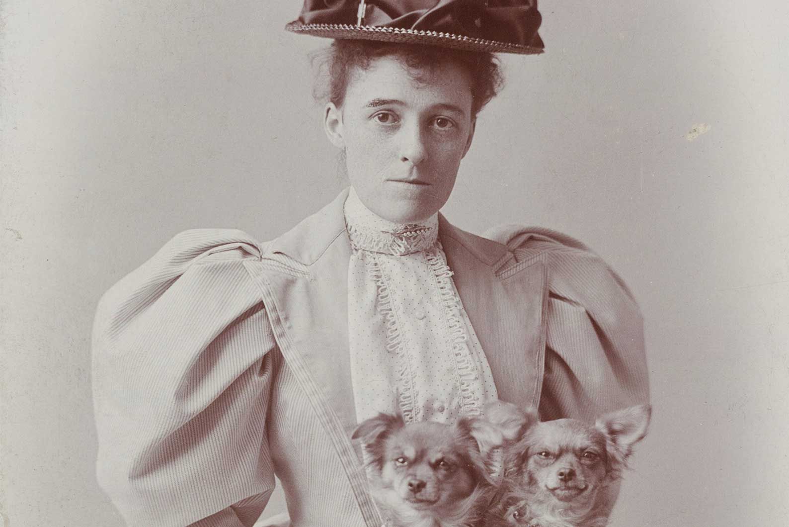 эдит википедия. эдит уортон. ,эдит пиаф эдит. эдит тюдор-харт. эдит википедия.