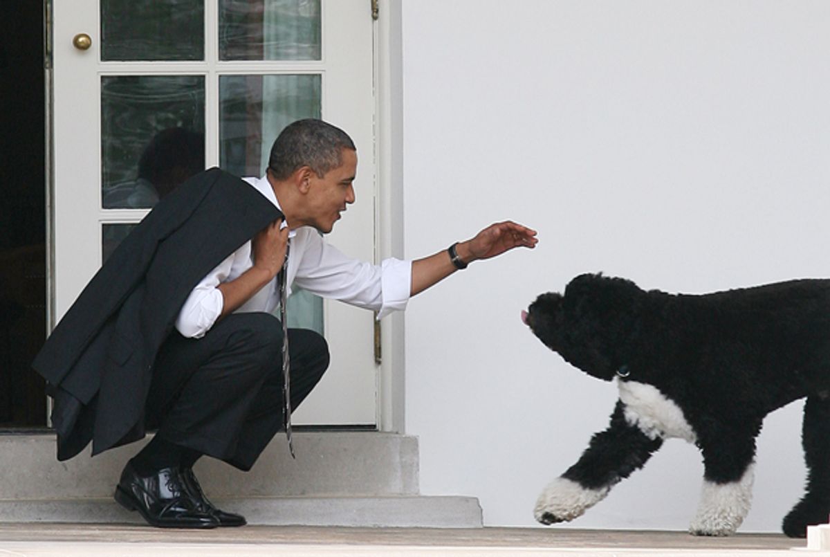 All The Presidents' Dogs From Washington's Hounds to Bo and Sunny Obama Tablet Magazine