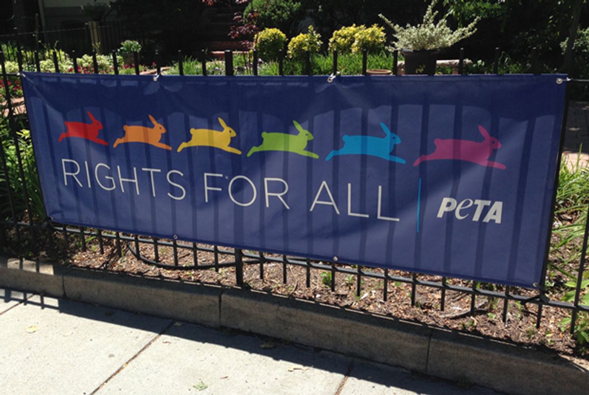 PETA Responds to a Tablet Article About The Group's 'Rights for All ...