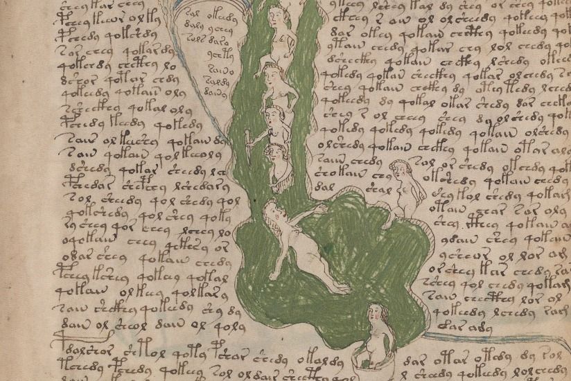 wiki voynich manuscript