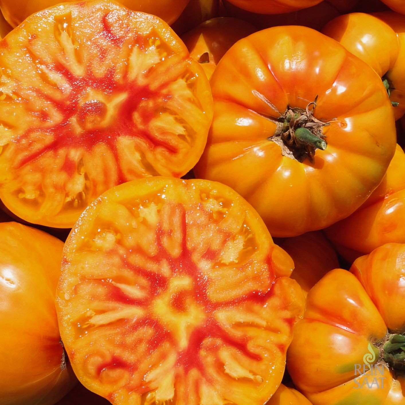 German Gold  Fleischtomate - Altes & historisches Saatgut