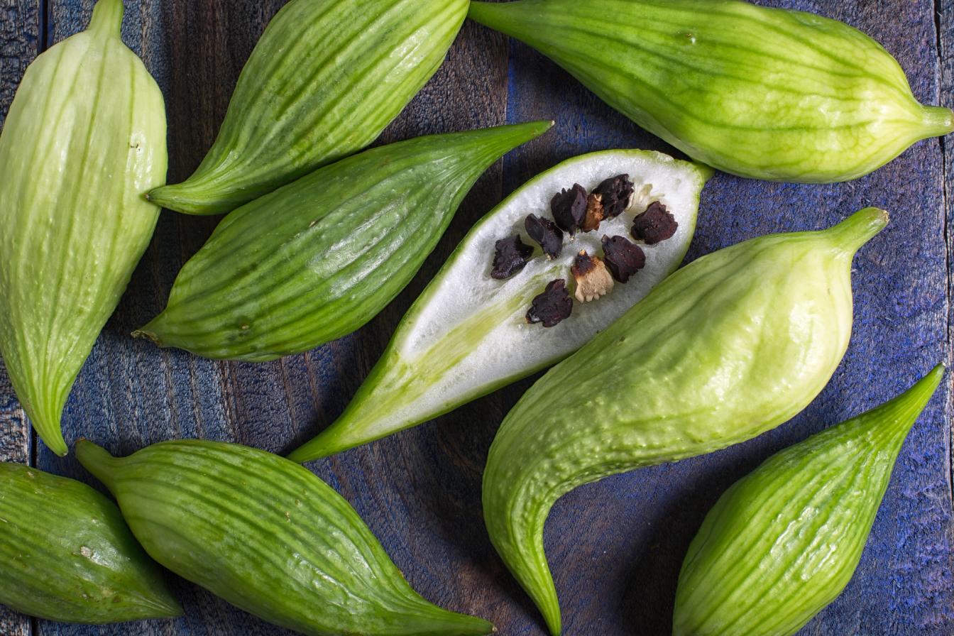 Aufgeschnitte Frucht einer Inkagurke