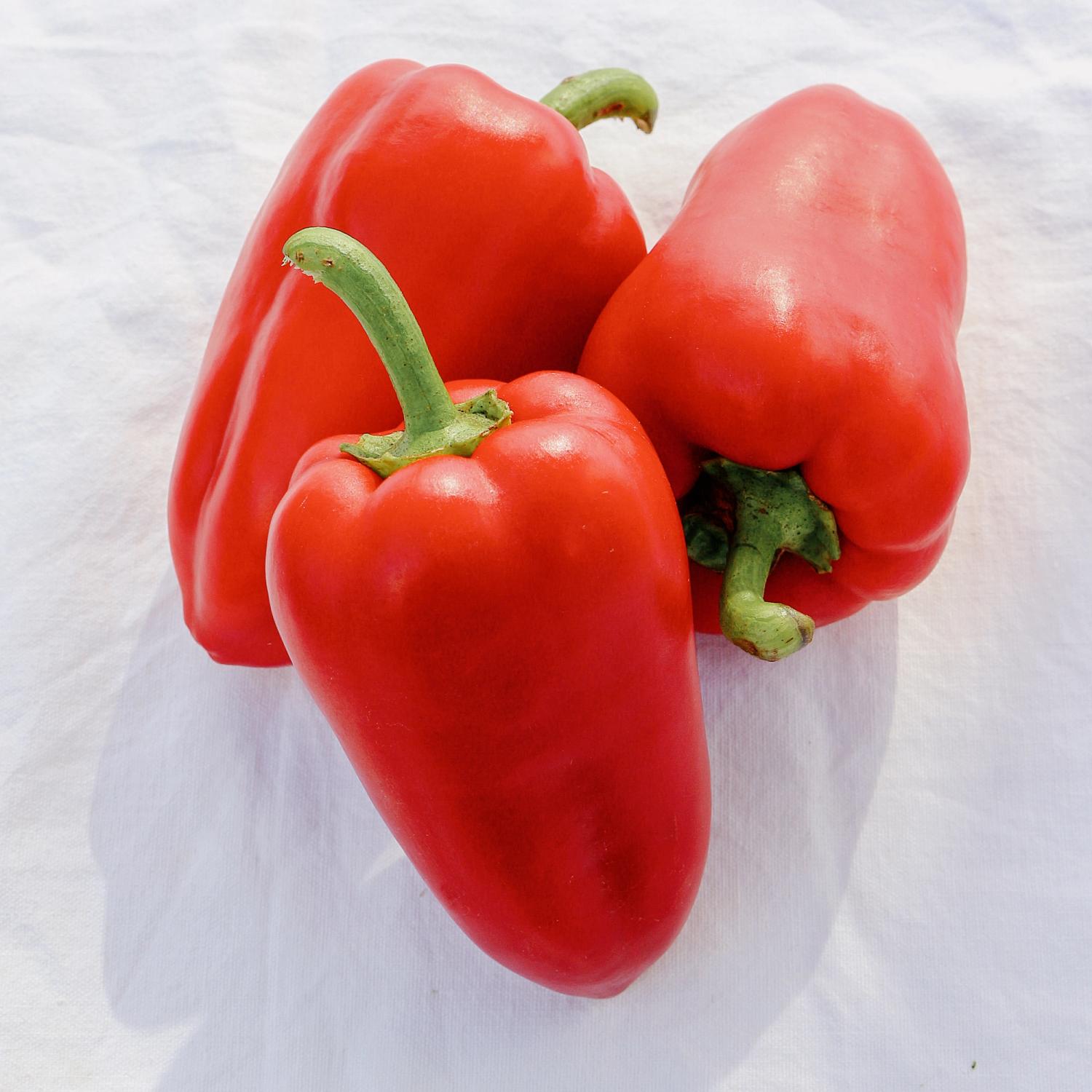 Hamlet (Capsicum annuum) Samen