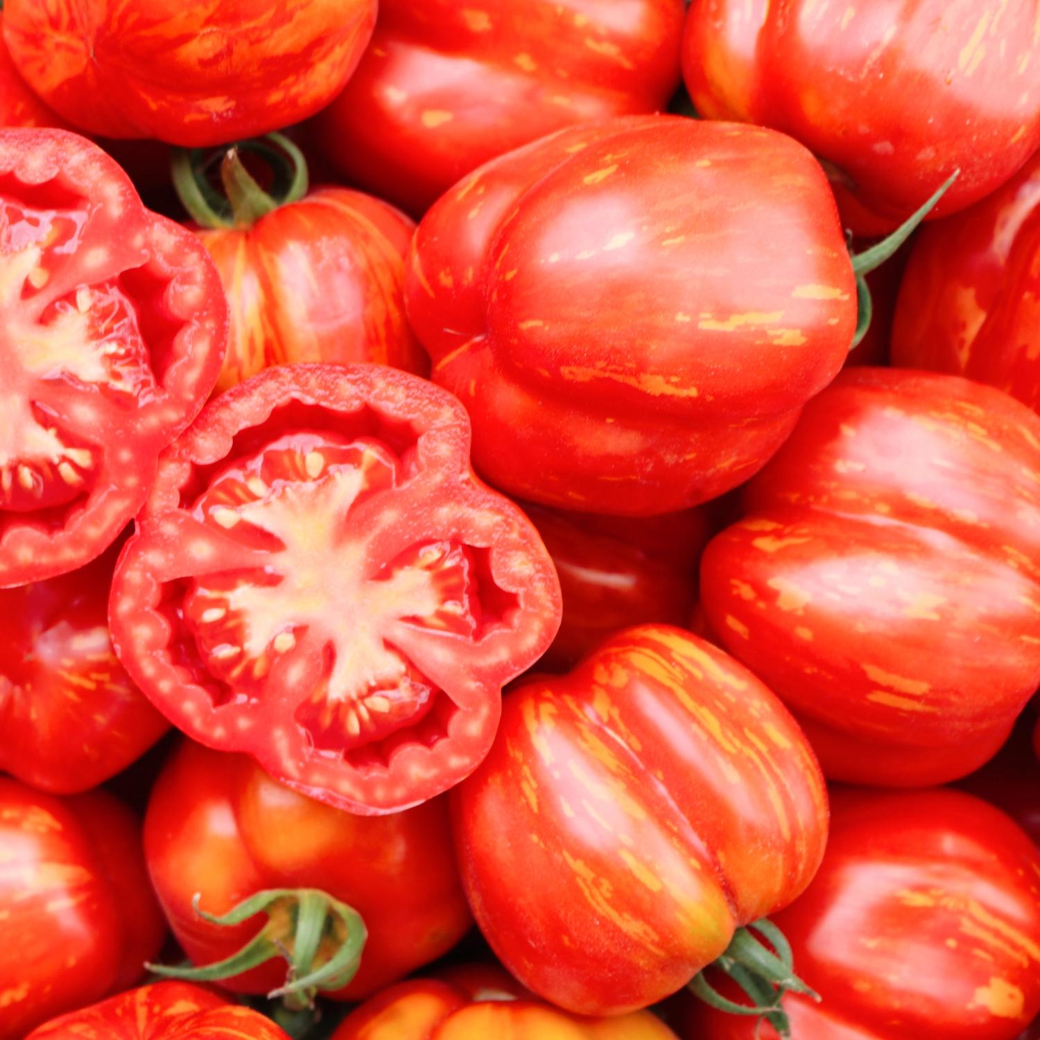 Red Cavern (Solanum lycopersicum) Samen