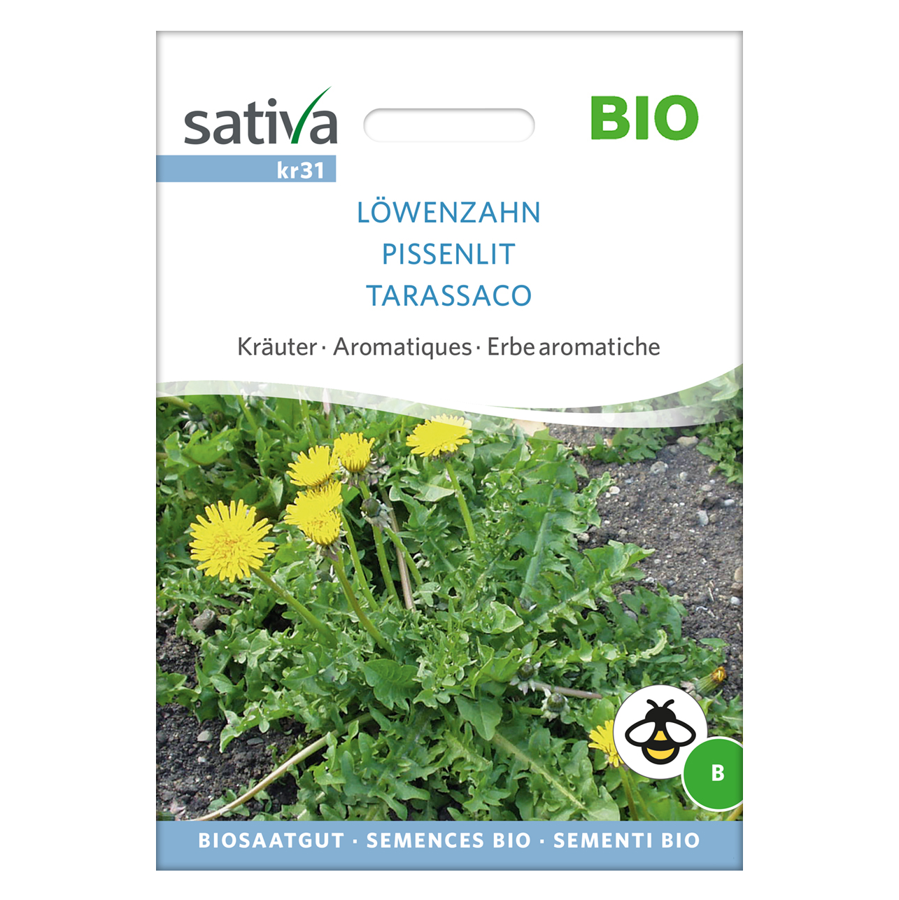 Lwenzahn Samen  Taraxacum officinale