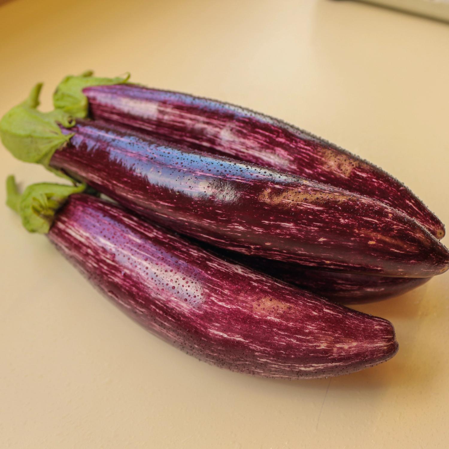 Tsakoniki (Solanum melongena) Samen