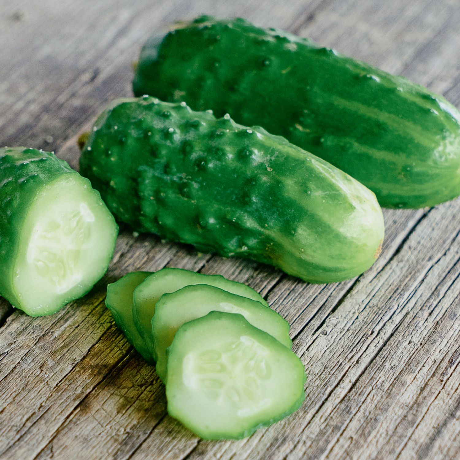 Liefje (Cucumis sativus) Samen