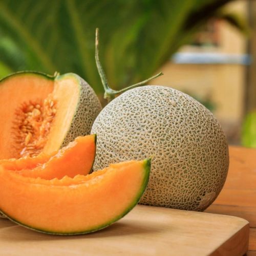 Melonen "Zuckermelone Best Jumbo"