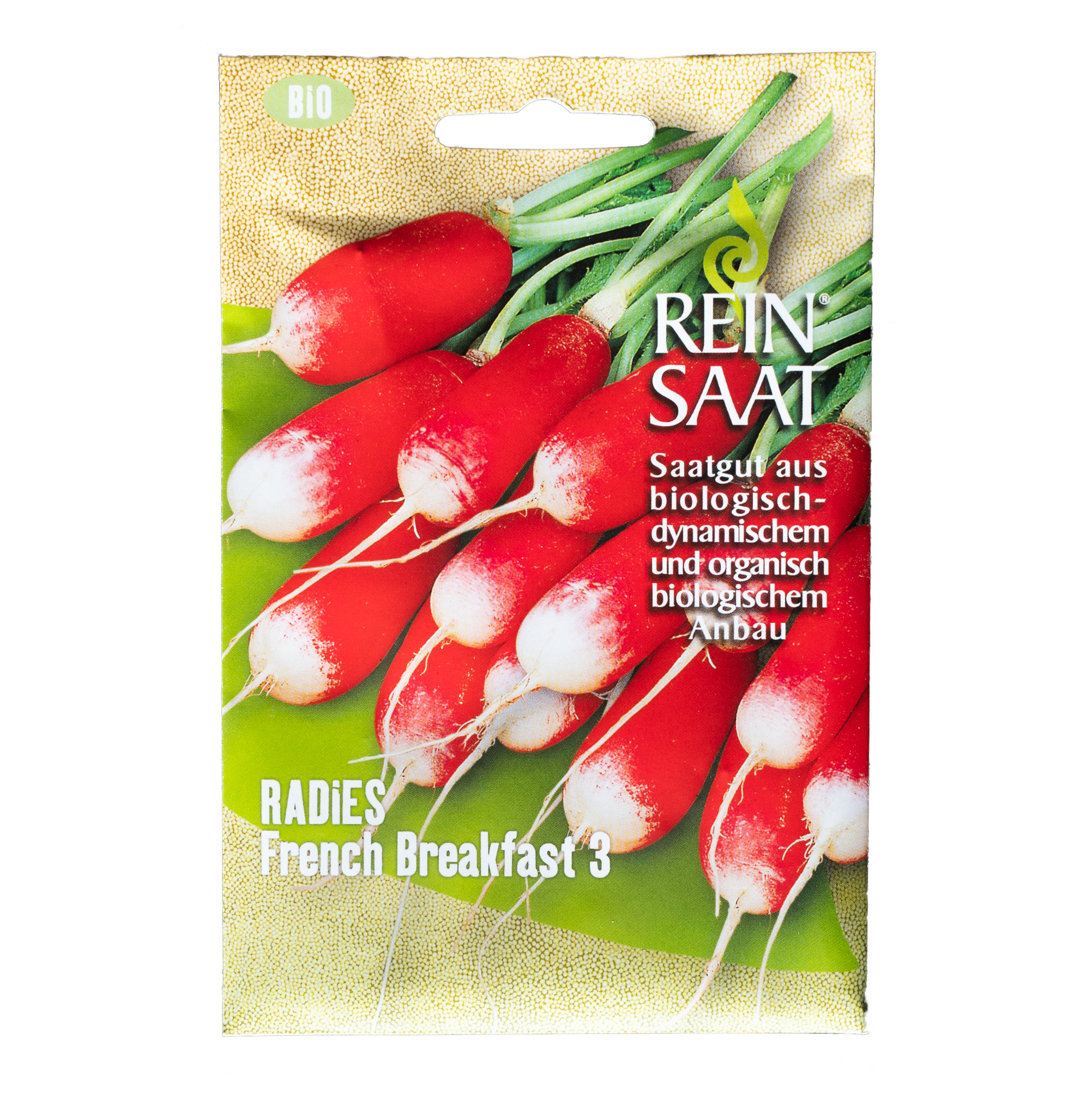 Radieschen 'French Breakfast' Im … - Bild Kaufen - 12186776