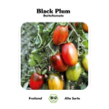 Vorschaubild 3 von Black Plum