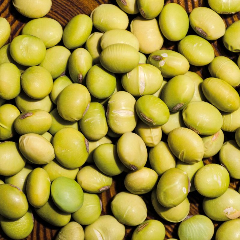 Empty Edemame Shell Summer Shell » Edamame - Altes & historisches Saatgut