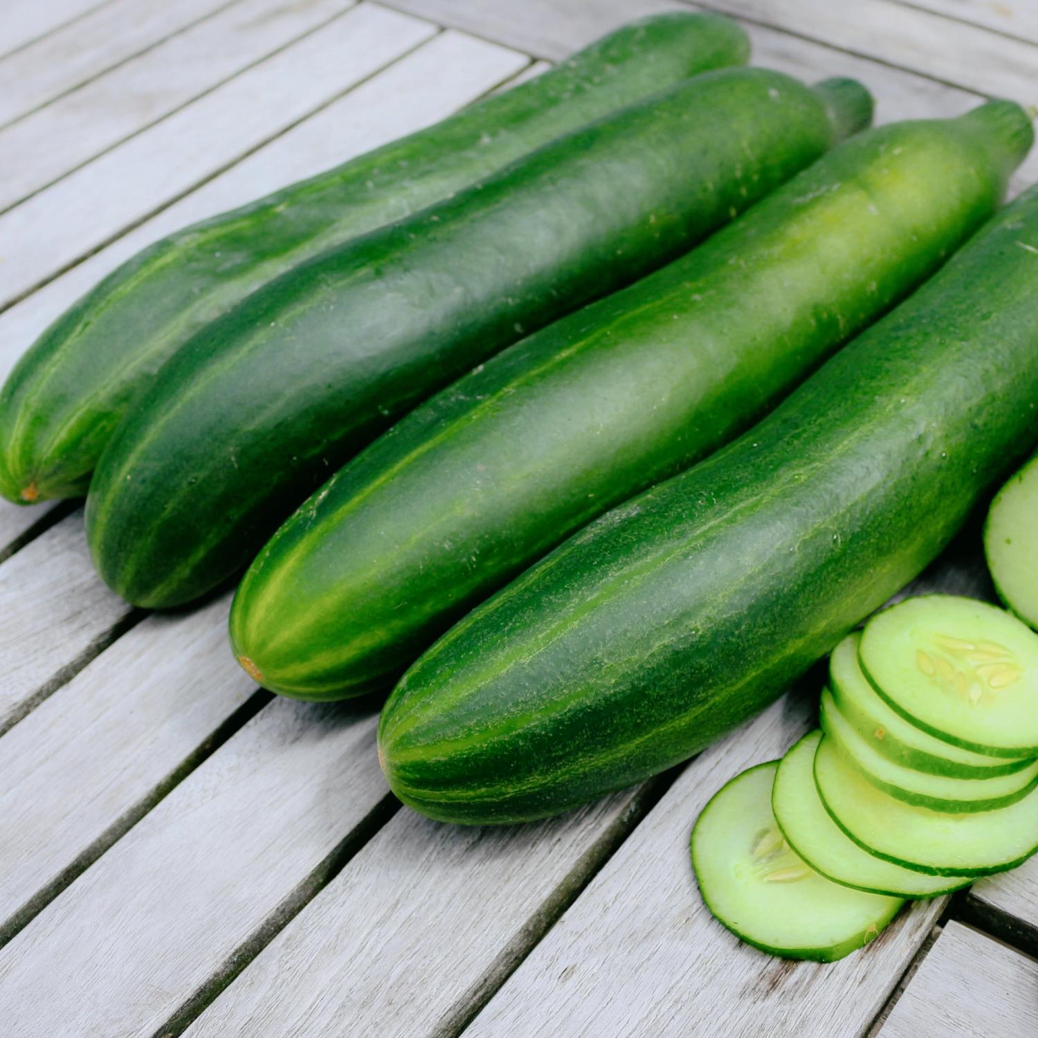 Qualitas (Cucumis sativus) Samen