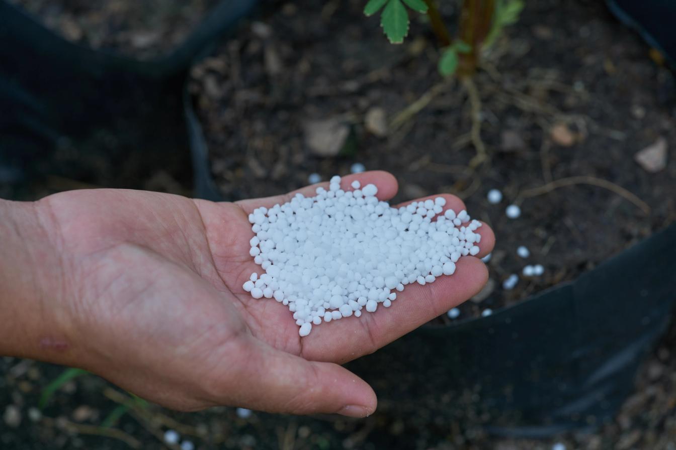 Hand mit Bittersalz