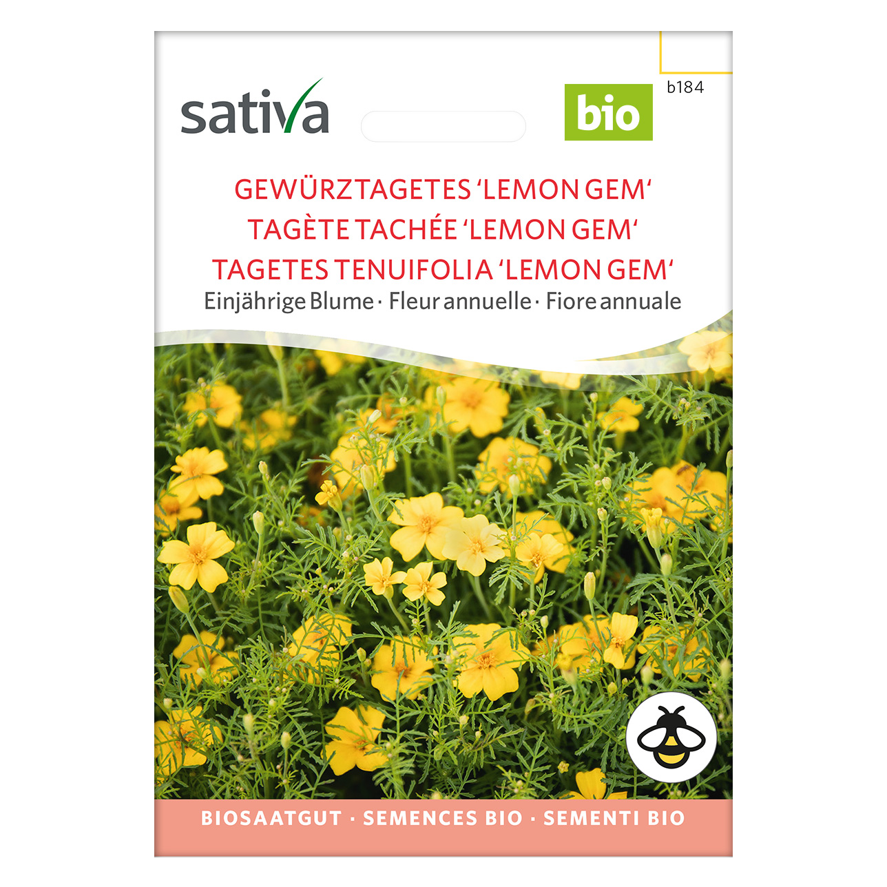 pampasgras knstlich 10 Stngel pro Bndel 55cm knstliches Pampasgras Schilf  Realistisch   kunstblumenshop