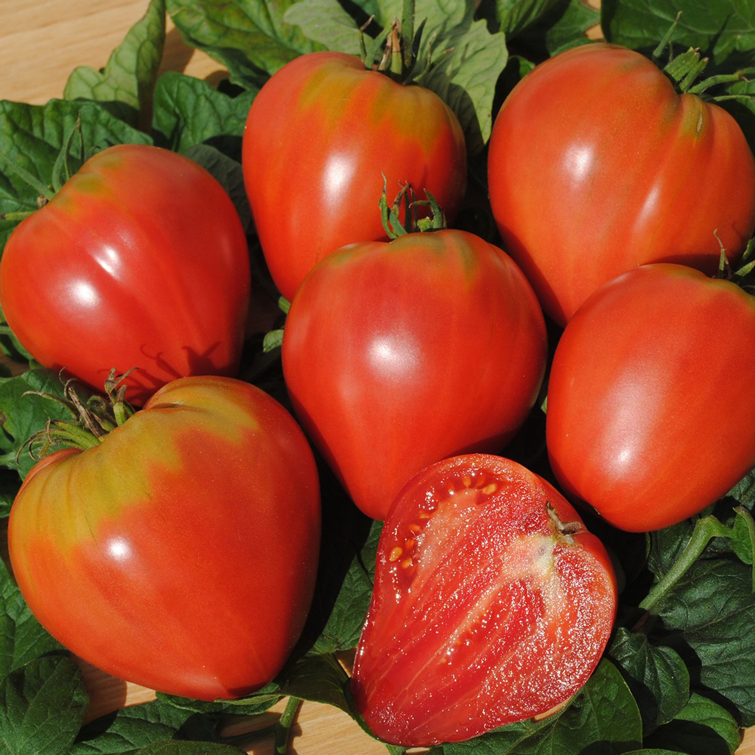 Ochsenherz (Solanum lycopersicum) Samen