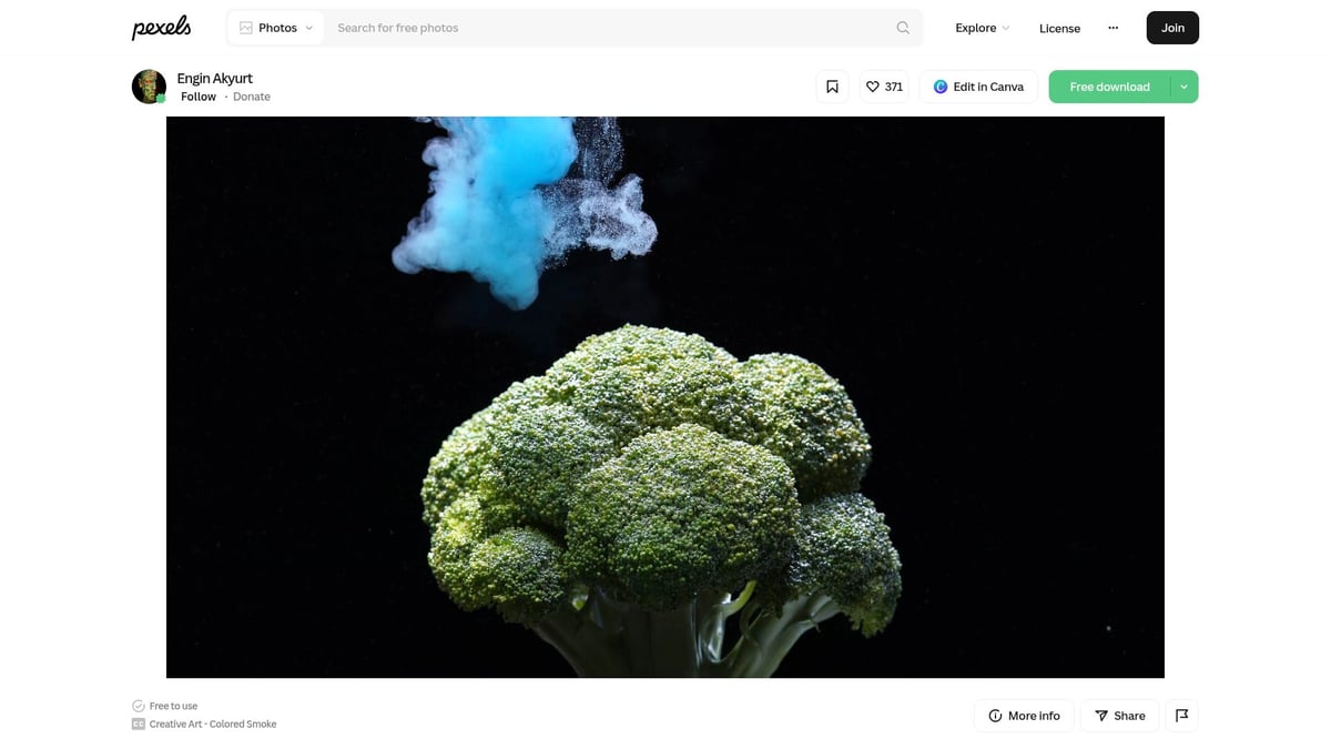 7 Inspiring Creative Videos to Spark Your Imagination in 2026 - Nature’s Palette: Colored Smoke and Abstract Forms