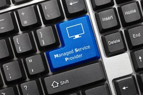 MSP Sources of Risk