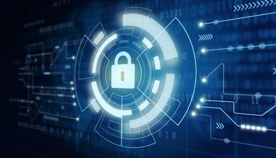 Navigating IT Liability in 2025: Strategies for Mitigating Risks