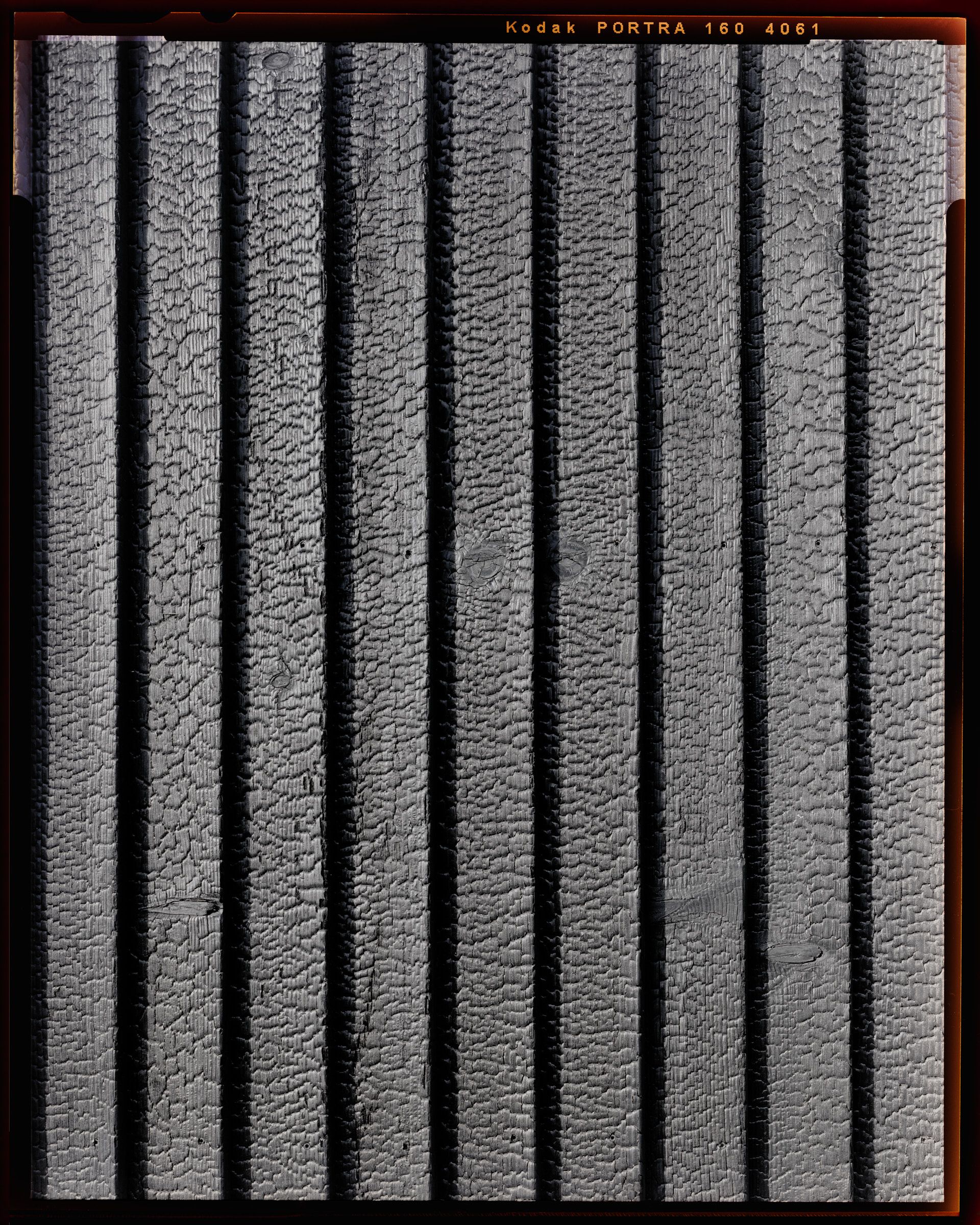 Weisstanne (verkohlt nach Yakusugi-Methode)