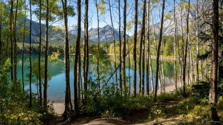 Wedge Pond