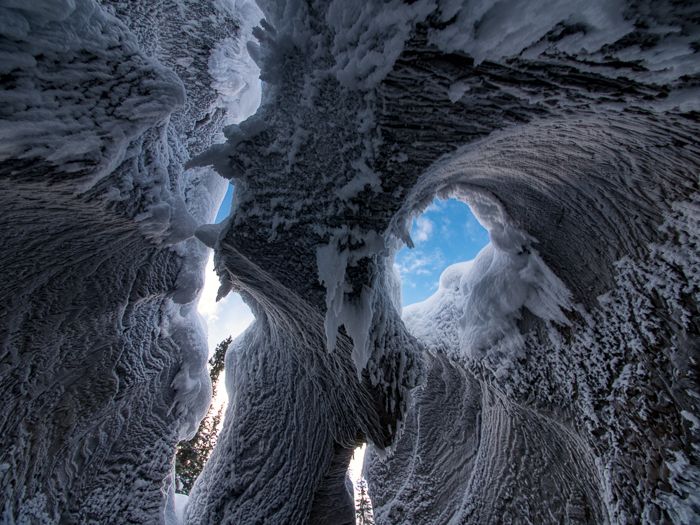 Natural Bridge Underside Frost