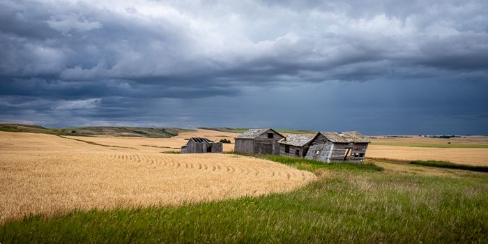 Weathering the Prairie Storm