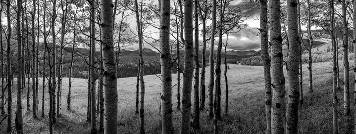 Sheep River Valley B&W