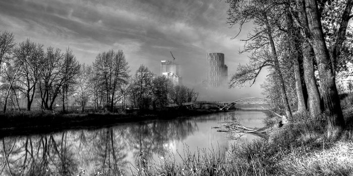 Calgary Morning Fog