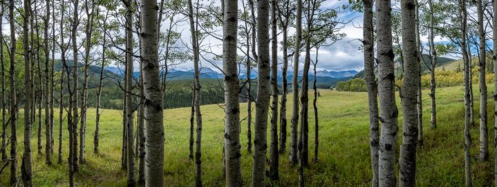 Sheep River Valley