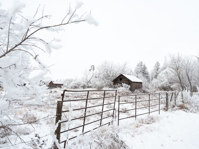 Winter in Saskatchewan