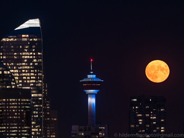 YYC Harvest Moon