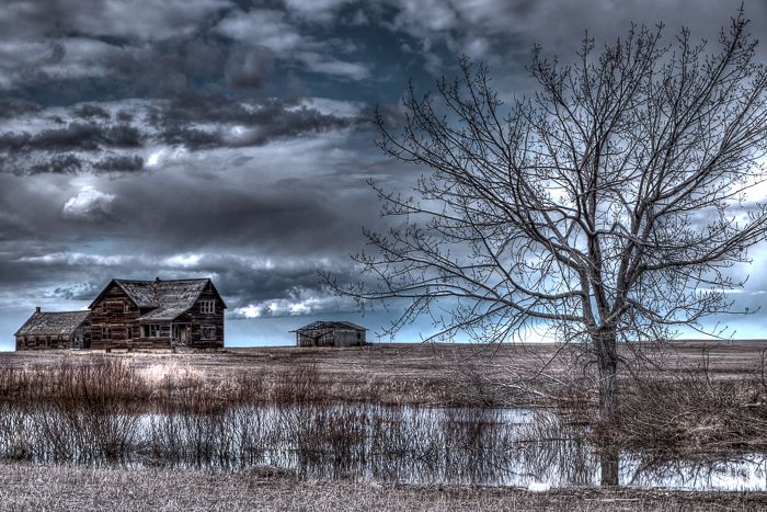 Cereal Homestead
