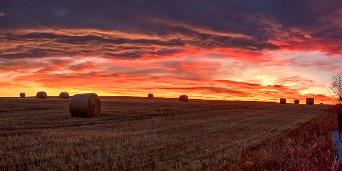 Dewinton Prairie Sunset