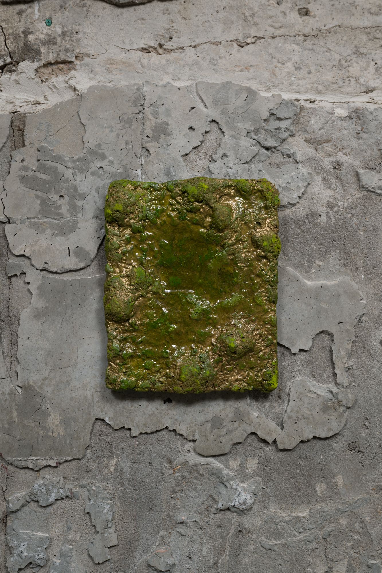 image-0abcff0fc488b5f1504e5cf5477f5f50630b9ac5-1333x2000-jpg