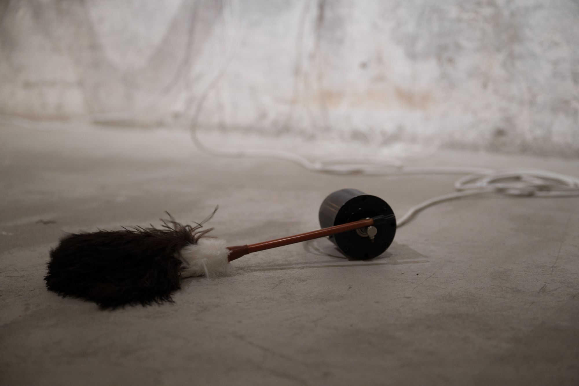 image-0df86388c2570a08b4fa7d2434d1bd4dc29db6cd-2000x1333-jpg