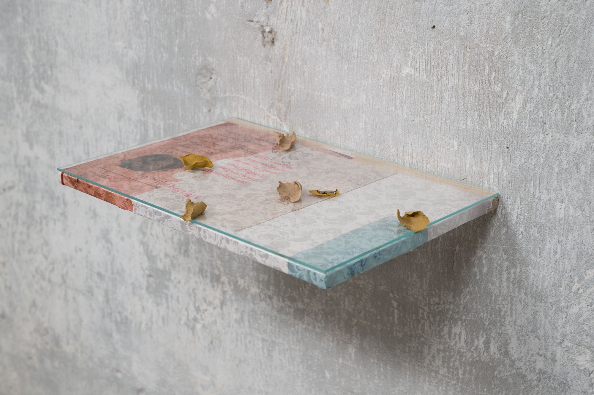 image-35223ee69263741266c830aa7c4695572bc5af6a-2000x1333-jpg