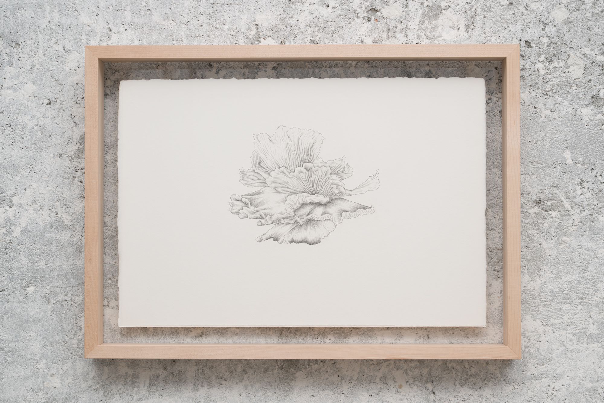 image-3dea90970fdc6d1bc405036e7183e0d253fe699c-2000x1333-jpg