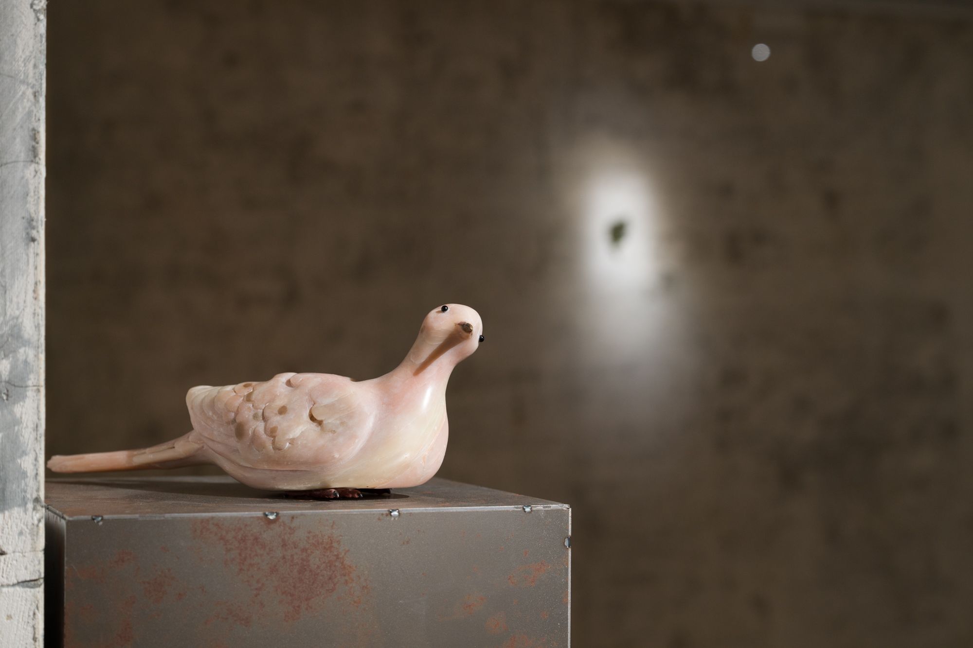 image-4ce8c628ef0edd9cc093b9972ace9efa36a0d9dc-2000x1333-jpg