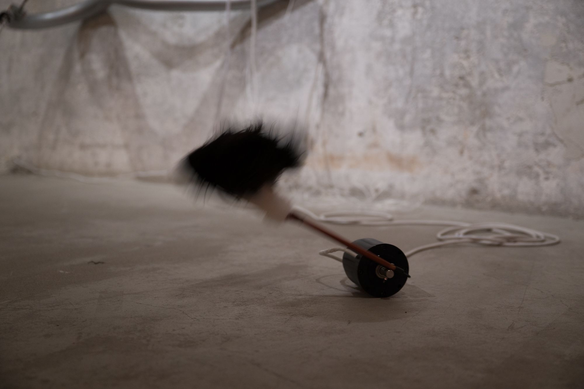 image-6725702b3355abfa6b33f98364815b93bdf21b01-2000x1333-jpg