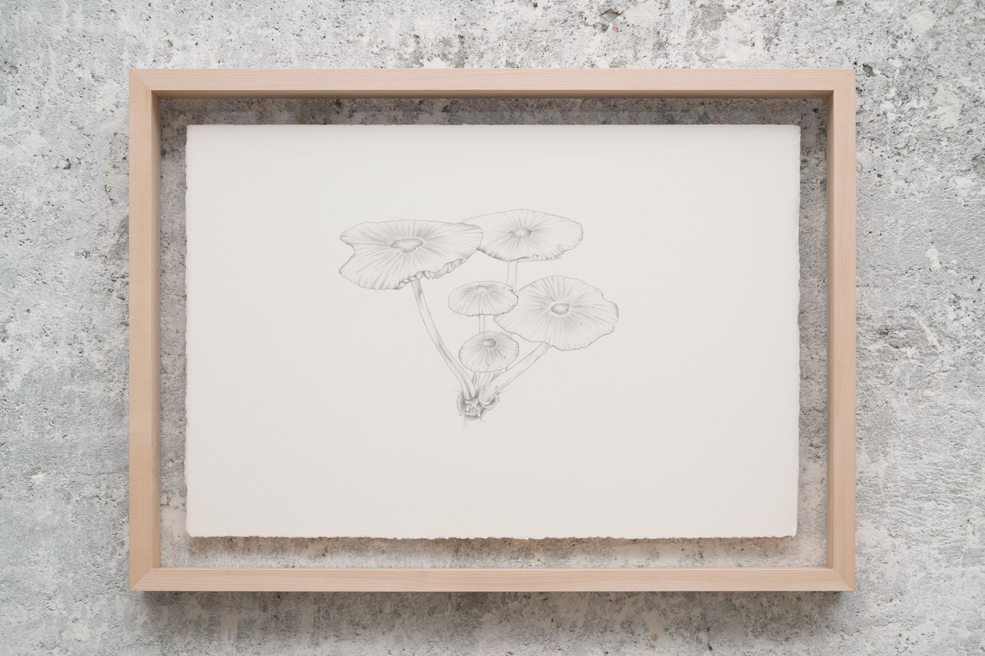 image-bb36a52660b78338d05f494b12a905737754b23e-2000x1333-jpg