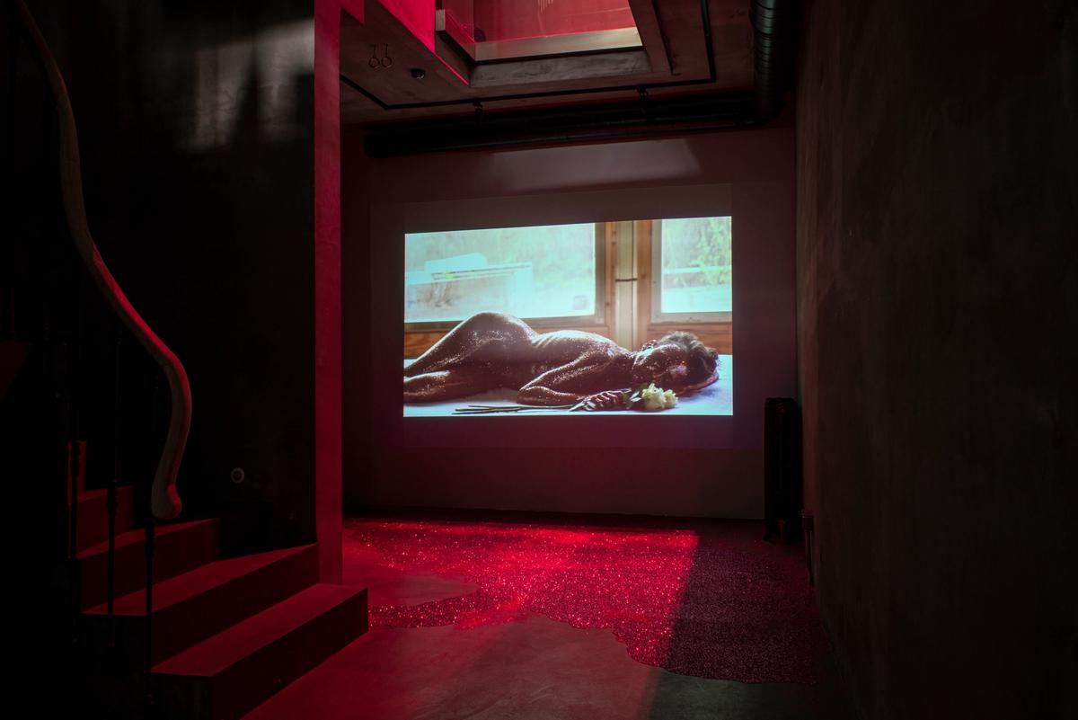 Leman Sevda Darıcıoğlu, Beyaz Güller, Pembe Simler, performans dokümantasyon yerleştirme, 2021.
BEYAZ GÜLLER, PEMBE SİMLER: © LEMAN SEVDA DARICIOĞLU, PERFORMİSTANBUL, 2021, FOTOĞRAF: © GÜLBİN ERİŞ