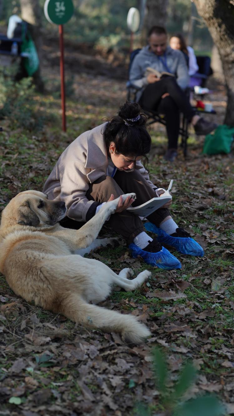 Emrah Kolukısa, Nilüfer Kent Tiyatrosu sanat yönetmeni Murat Daltaban ...