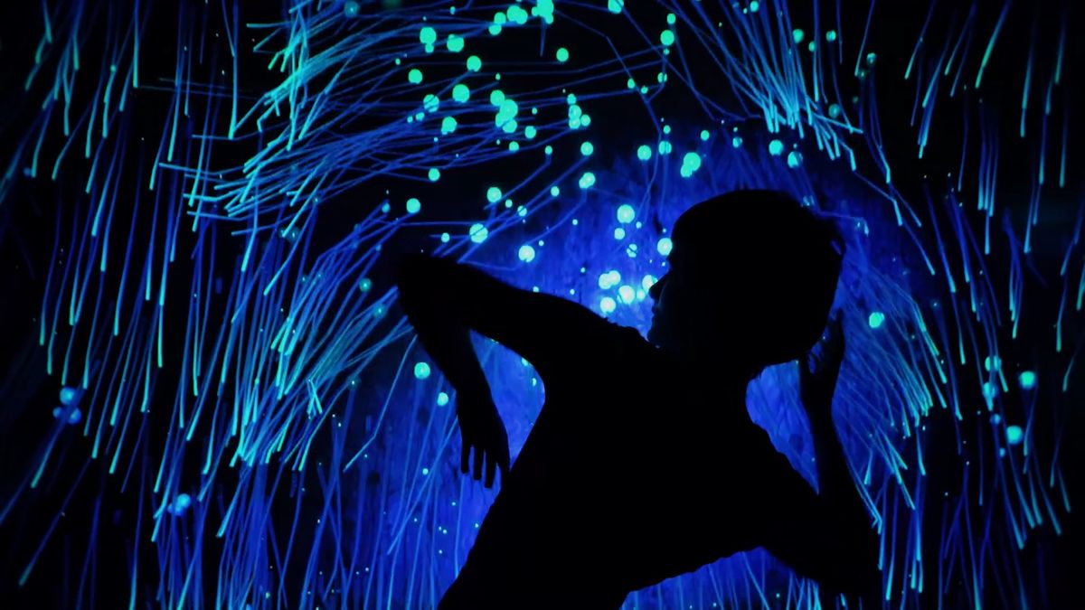 Doğadan esinlenen, izleyici kaynaklı canlı yerleştirme “Lumin”, karanlık mağaralarda parlayan biyolüminesans canlıların gerçek zamanlı bir simülasyonu.
© AHMET SAİD KAPLAN