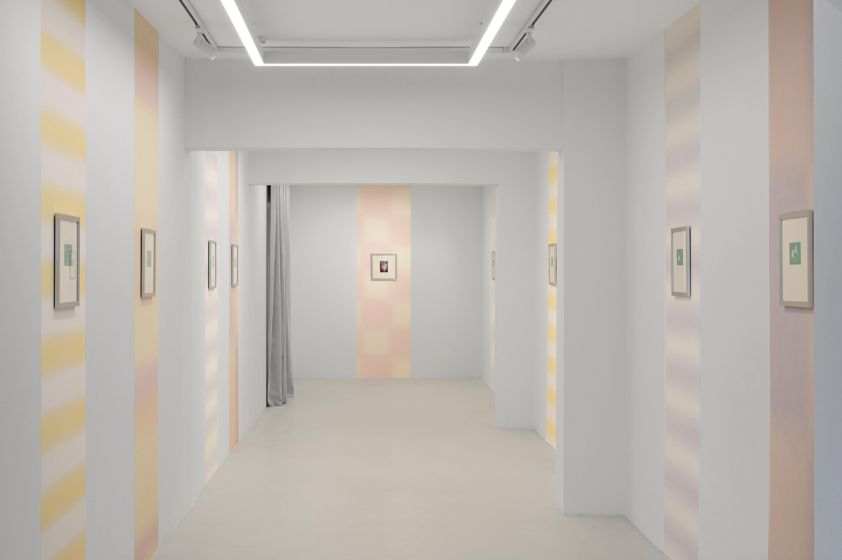 Enstalasyon görüntüsü: Nazlı Erdemirel