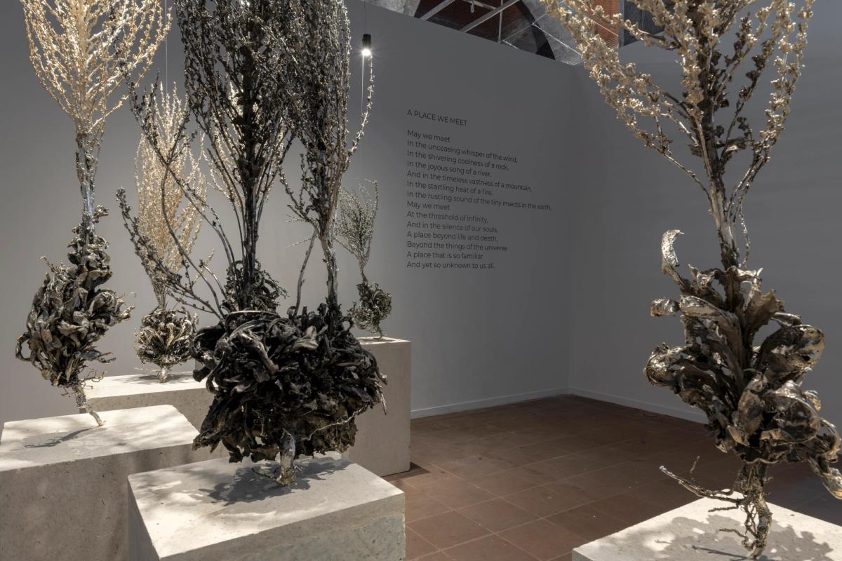 Fotoğraf: Kayhan Kaygusuz