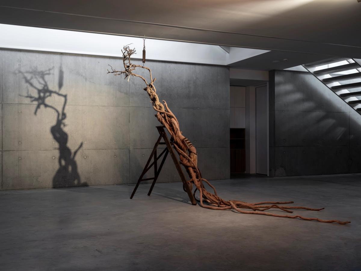 Yaşam Şaşmazer, Udagan, 2026. Ağaç dalı, ahşap merdiven, protez bacak, silikon, elastik bandaj, sargı bezi, sünger, poliüretan, elyaf, alüminyum tel, zincir, kanca, kantar, dikiş iğnesi, iplik, yosun, 