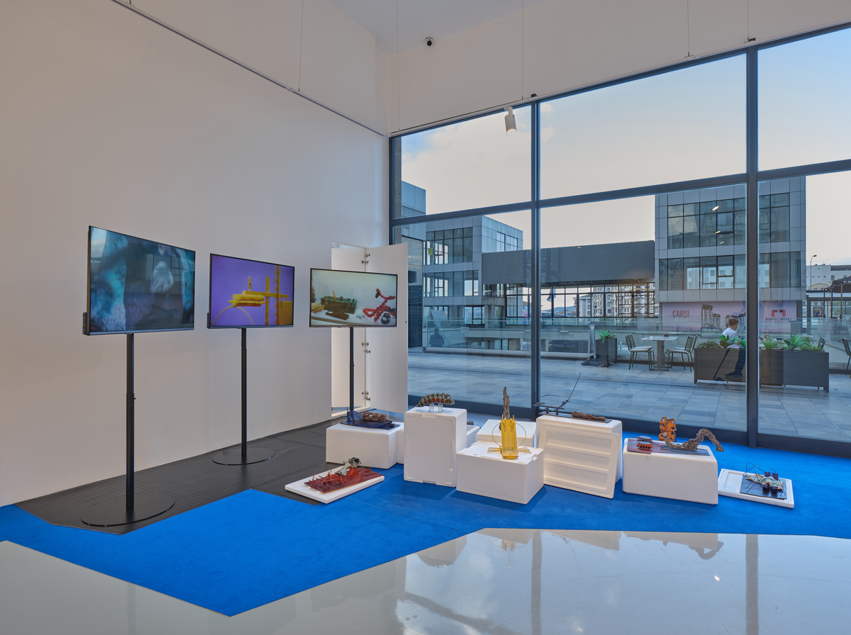 Fotoğraf: Barış Özçetin  