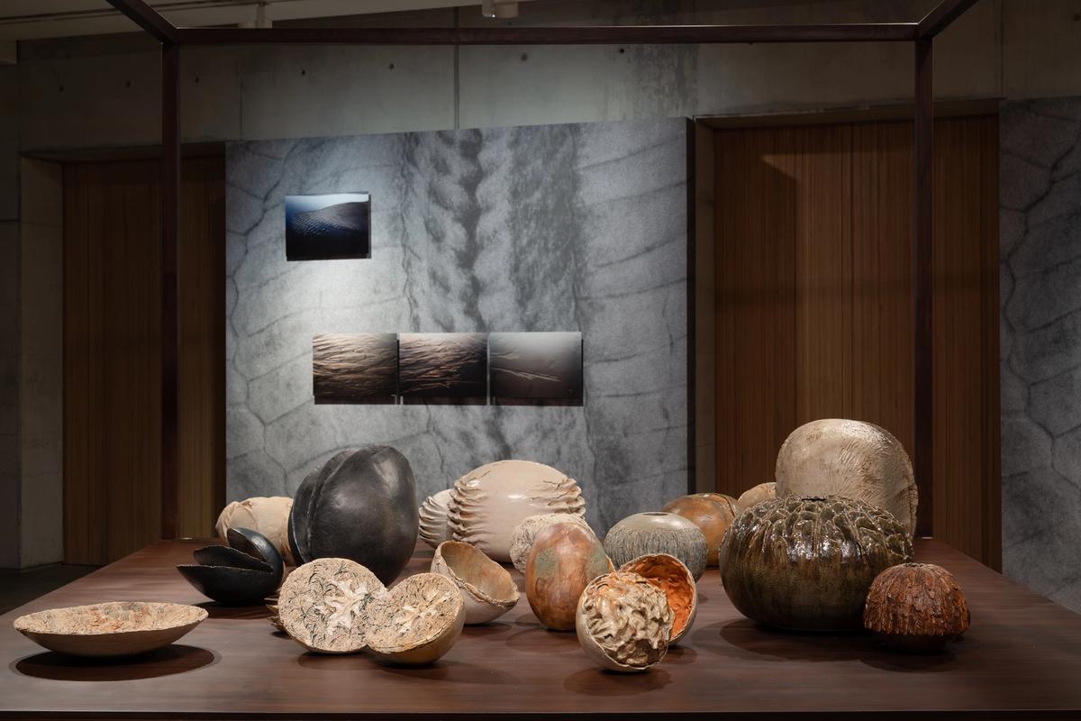 Melike Abasıyanık Kurtiç’in Erimtan Müzesi’nde eylül ayına kadar devam edecek Bir Denizkestanesinin Anıları isimli sergisi, aşina olduğumuzun aksine tek odaklı bir retrospektif sergi olarak okunabilir.
© OĞUZ KARAKÜTÜK, ERİMTAN MÜZESİ, 2024